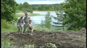 Puput (S): 15.05.2018 18.00