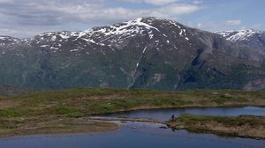 Minun luontoni: 16.05.2018 12.45