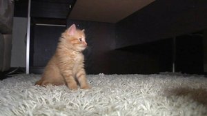 Norjaa ristiin rastiin: 21.05.2018 19.57