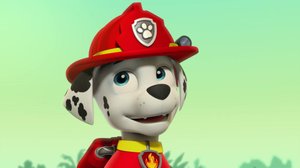 Ryhmä Hau (S): 20.05.2018 08.09