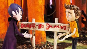 Kammokatu (7): 25.05.2018 02.30