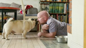 Ruotsin lihavimmat koirat: 23.05.2018 13.25