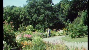 Puutarharuutu: 21.05.2018 12.00