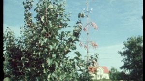 Puutarharuutu: 21.05.2018 12.00