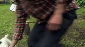 Frans ja eläinystävät: 22.05.2018 02.00