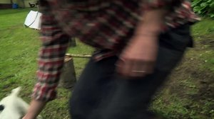 Frans ja eläinystävät: 22.05.2018 02.00