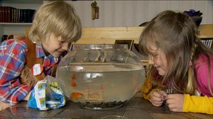 Mikkel ja Klara (S): 22.05.2018 18.00