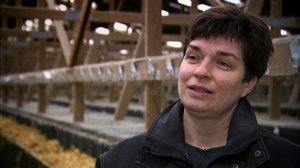 Kaikkea kaupan: 27.05.2018 10.31