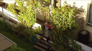 Norjaa ristiin rastiin: 28.05.2018 19.57