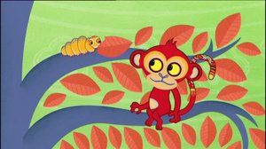 Miksi toukalla ei ole kiire? (S): 28.05.2018 07.30