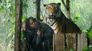 Tiikerin paras ystävä: 29.05.2018 19.45