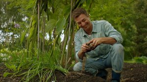 Puutarhaperjantai: 01.06.2018 10.03