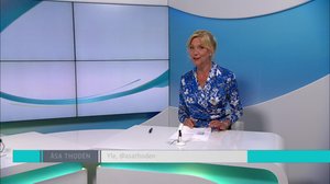 Yle Nyheter TV-nytt: 31.05.2018 17.55