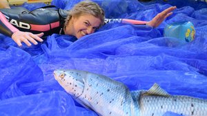 BUU-klubben: 05.06.2018 18.00