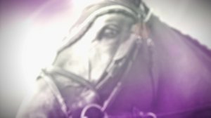 Ratsastuksen maailma: 03.06.2018 13.05