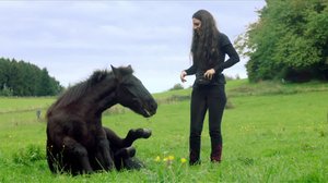 Hevoskuiskaaja: 05.06.2018 19.45