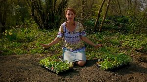 Puutarhaperjantai: 08.06.2018 10.01