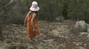 Metsä: 06.06.2018 02.00