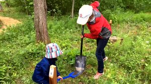 Lokalt live: Här får barn födda 2017 egna träd i Östanå parken: 06.06.2018 17.40