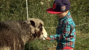 Frans ja eläinystävät (S): 19.06.2018 00.00