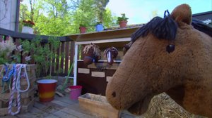 Tervetuloa tallille!: 12.06.2018 07.29