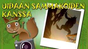 Uidaan sammakoiden kanssa: 14.06.2018 03.00