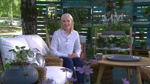 Ylen aamu-tv: Tänään otsikoissa: 13.06.2018 15.10