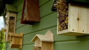 Silmänruokaa ja suuhunpantavaa: 19.06.2018 19.00