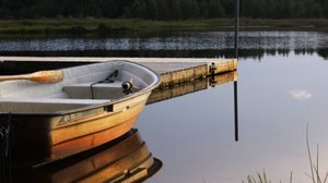 Obs debatt på Arenan: Varför så svårt med sommarstugornas avlopp?: 20.06.2018 13.30
