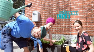 Lokalt live: Se hur du skapar din egen lilla lådträdgård: 20.06.2018 13.37