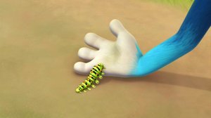 Kuinka perhoset syntyvät? (S): 24.06.2018 08.53