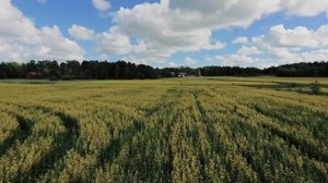 Egenlandin matkakohde: 21.06.2018 12.00