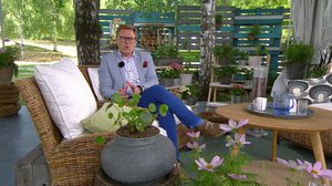 Ylen aamu-tv: Tänään otsikoissa: 21.06.2018 15.10