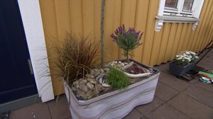 Iloa puutarhasta: 27.06.2018 10.00