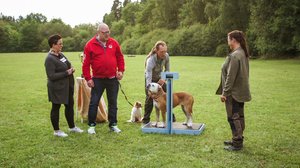 Ruotsin lihavimmat koirat: 27.06.2018 12.30