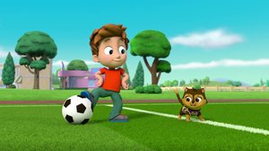 Pennut pelastavat pelin / Pöllöä pelastamassa (S): 02.07.2018 07.57