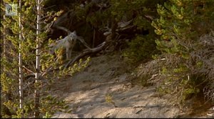 Ihmisen vaikutus planeettaamme: 30.06.2018 16.45