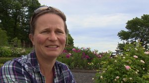 Iloa puutarhasta: 04.07.2018 10.00