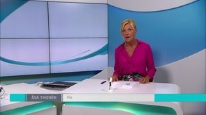 Yle Nyheter TV-nytt: 02.07.2018 17.55