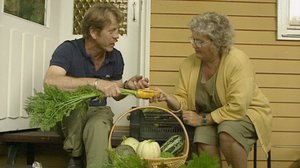 Sadonkorjuu: 04.07.2018 00.08