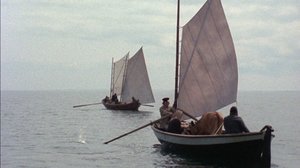 Suden talvi (S): 05.07.2018 00.05