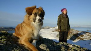 Tiettömän taipaleen takana: 07.07.2018 09.20