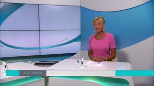 Yle Nyheter TV-nytt: 03.07.2018 17.55