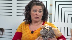 Satupyörä: Hirvi: 08.07.2018 06.00