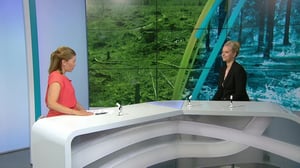 Päivän kasvo: 04.07.2018 18.20