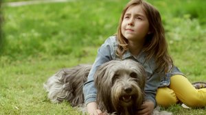 Uusi ystävä (S): 08.07.2018 08.30