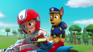 Pennut pelastavat koulubussin / Linnunlaulun jäljillä (S): 09.07.2018 07.57