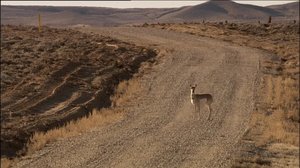 Ihmisen vaikutus planeettaamme: 07.07.2018 16.45