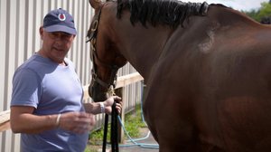 Ratsastuksen maailma: 08.07.2018 12.35