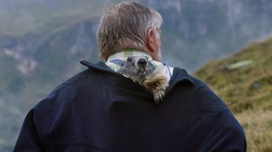 Vuorilla murmeleiden kanssa: 10.07.2018 19.45